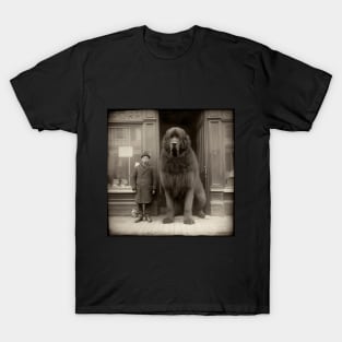 The Big Dog from 1900 T-Shirt